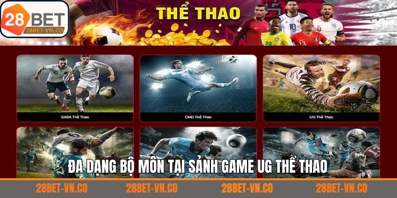 UG Thể Thao – Nền Tảng Cá Cược Thể Thao Đẳng Cấp Và Hiện Đại 3 Những loại hình được ưa chuộng nhất tại UG thể thao