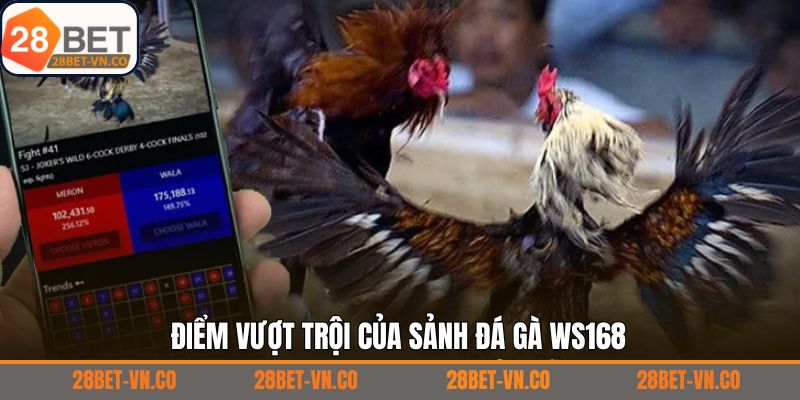 Đá Gà WS168 - Thưởng Thức Các Màn Chọi Kê Mọi Lúc, Mọi Nơi 3 Ưu điểm vượt trội lôi cuốn người chơi của đá gà WS168