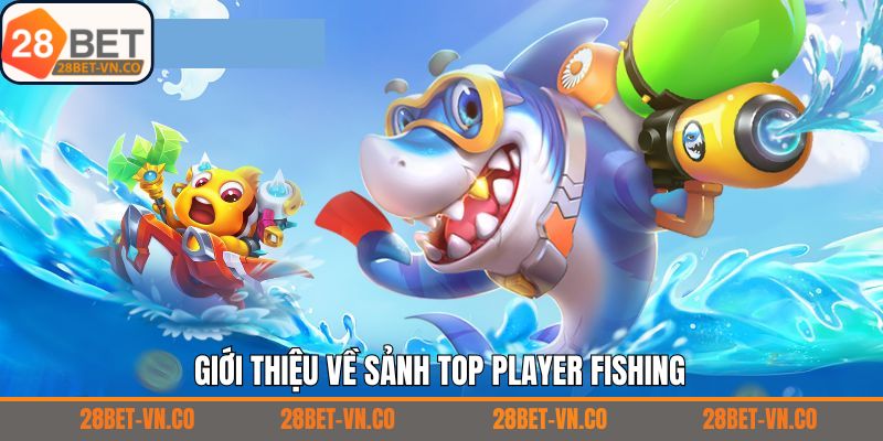Khái quát về Top player Fishing tại 28Bet