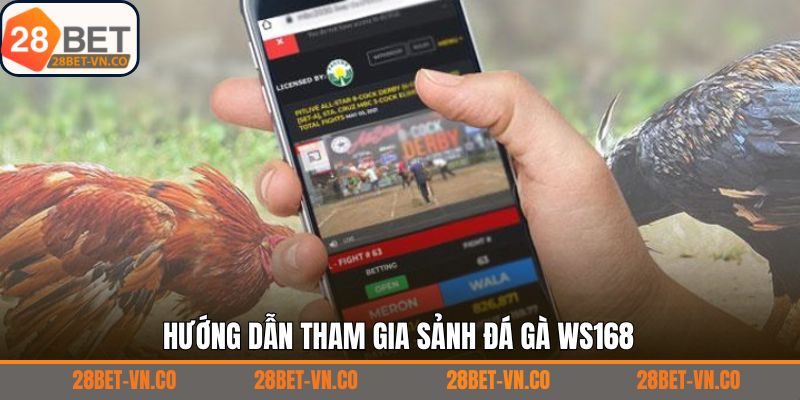 Đá Gà WS168 - Thưởng Thức Các Màn Chọi Kê Mọi Lúc, Mọi Nơi 4 Hướng dẫn tham gia sảnh cược đơn giản dành cho hội viên