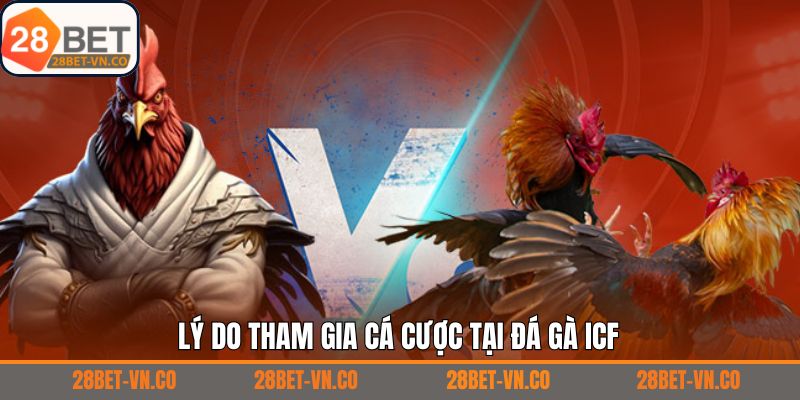 Những lợi ích khi tham gia đá gà ICF tại nhà cái 
