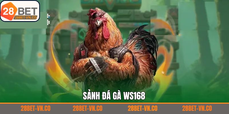 Đá Gà WS168 - Thưởng Thức Các Màn Chọi Kê Mọi Lúc, Mọi Nơi 1 Đá Gà WS168 - Thưởng Thức Các Màn Chọi Kê Mọi Lúc, Mọi Nơi