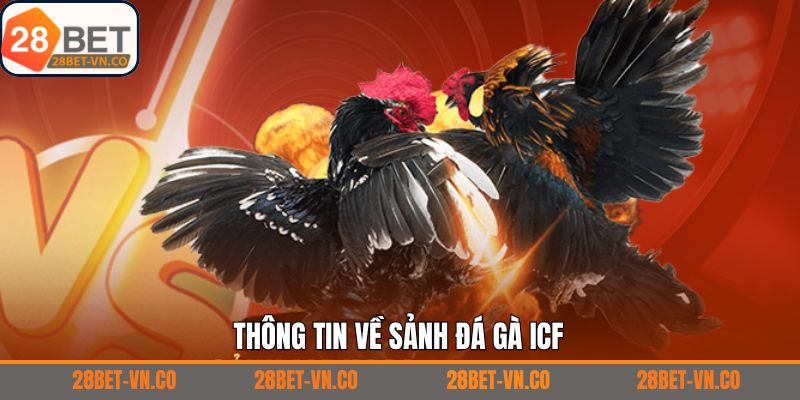 Một vài thông tin tổng quan về chọi kê ICF