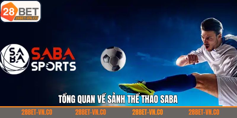 Khám phá những yếu tố cơ bản cần biết về thể thao SABA